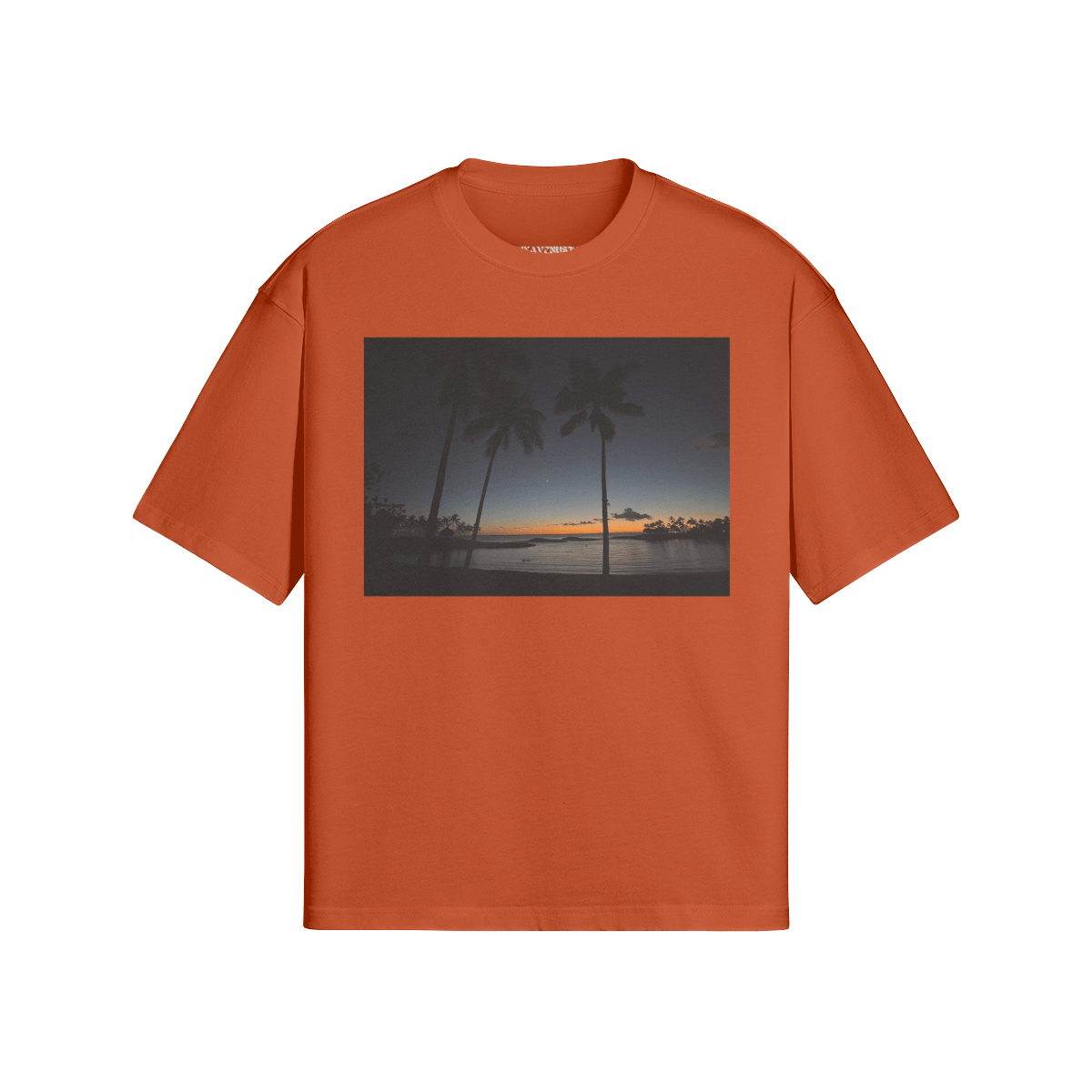 KO OLINA LAGOONS - PREMIUM COTTON BOXY T-SHIRT - PUYAVENUSTA
