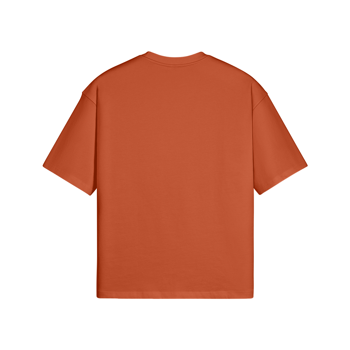 SWISS MOUNTAINS - PREMIUM COTTON BOXY T-SHIRT - PUYAVENUSTA