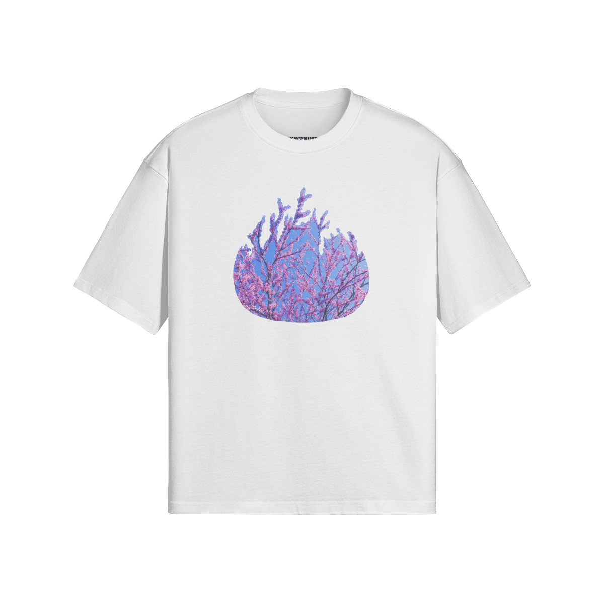 The Burning Bush - PuyaVenusta