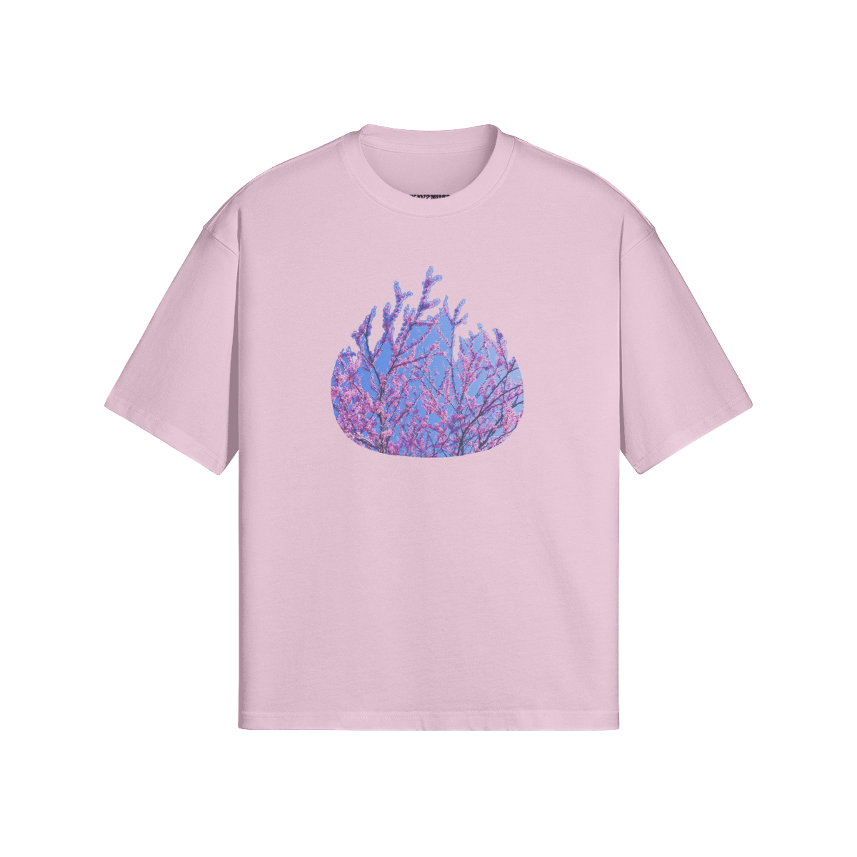 The Burning Bush - PuyaVenusta