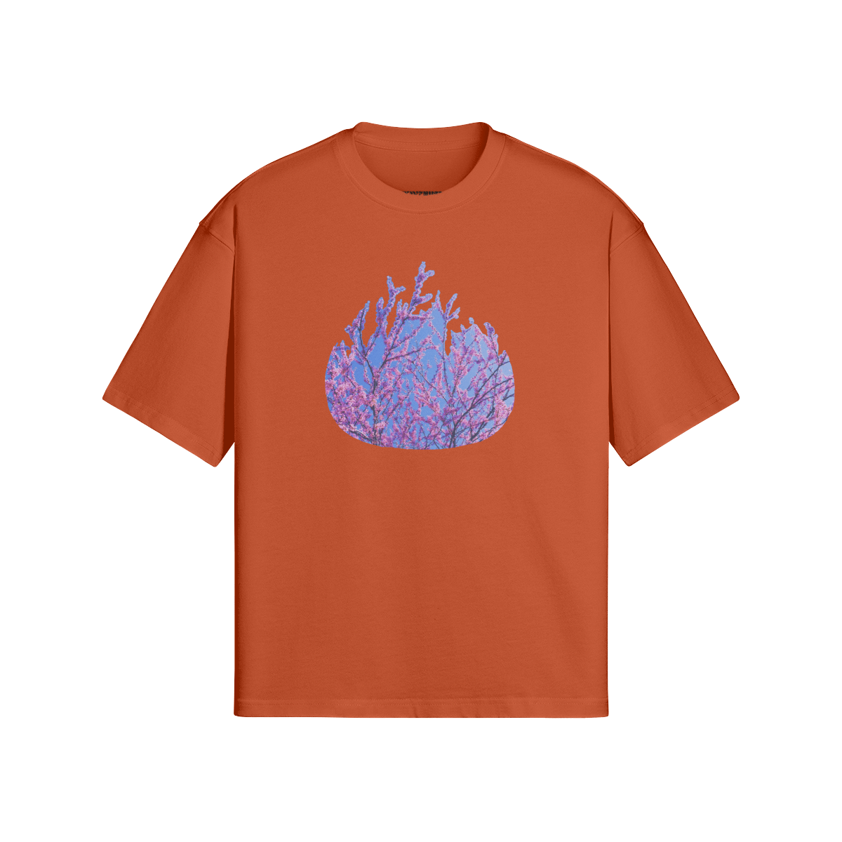 The Burning Bush - PuyaVenusta