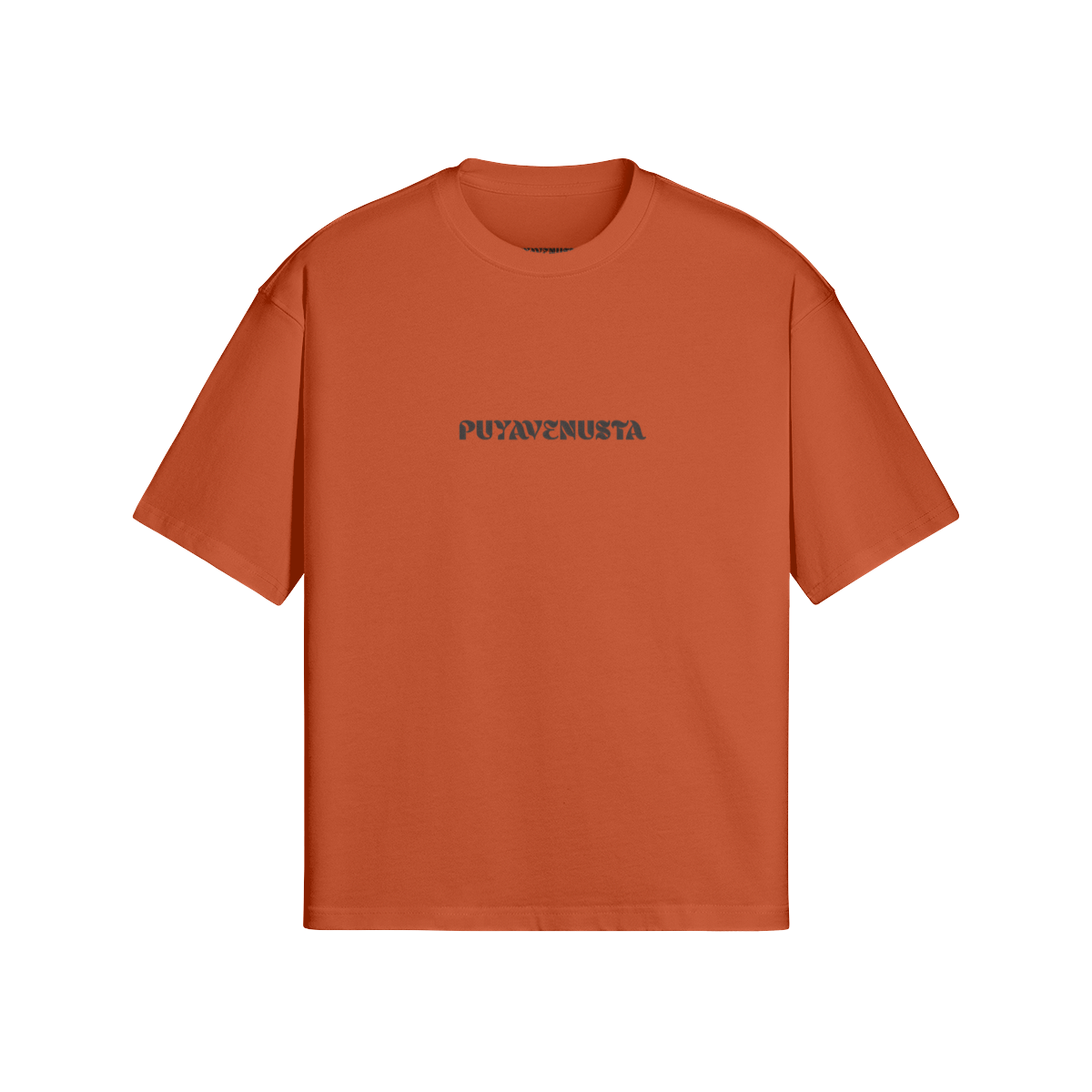 FROSTED SKIES x PUYAVENUSTA - PREMIUM COTTON BOXY T-SHIRT - PUYAVENUSTA