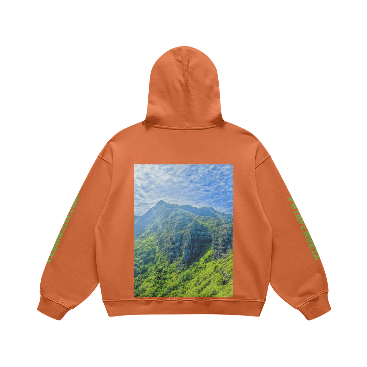 UFS SATURN - PREMIUM COTTON HOODIE - PUYAVENUSTA