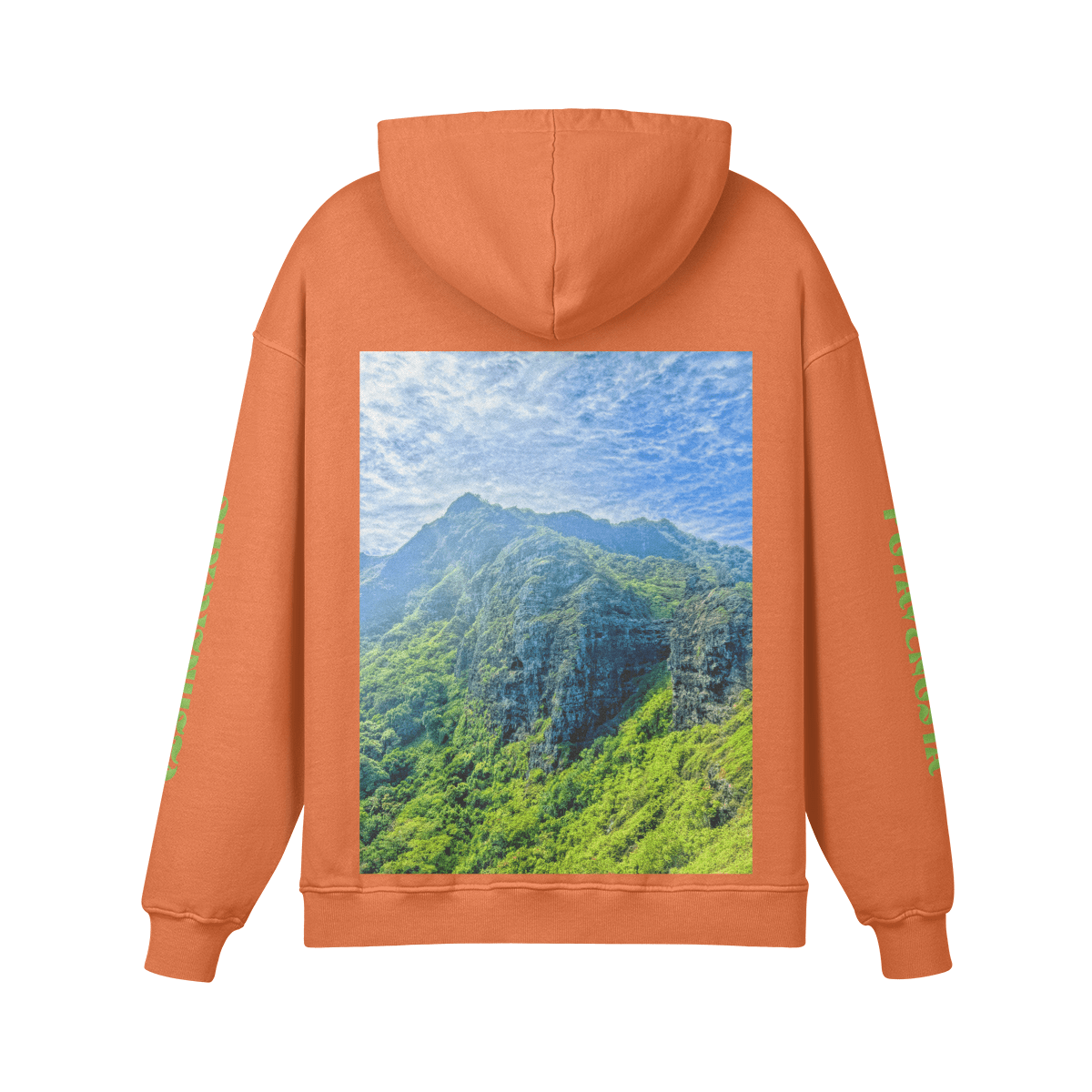 UFS SATURN - PREMIUM COTTON HOODIE - PUYAVENUSTA