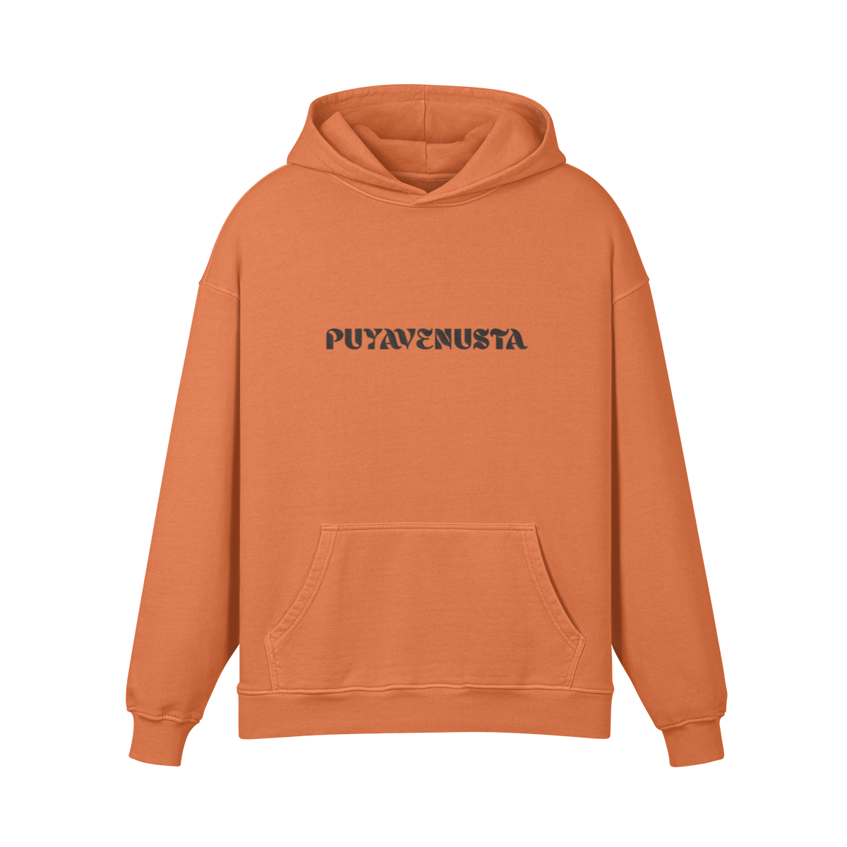 PUYAVENUSTA x NEON ATL - PREMIUM COTTON HOODIE - PUYAVENUSTA