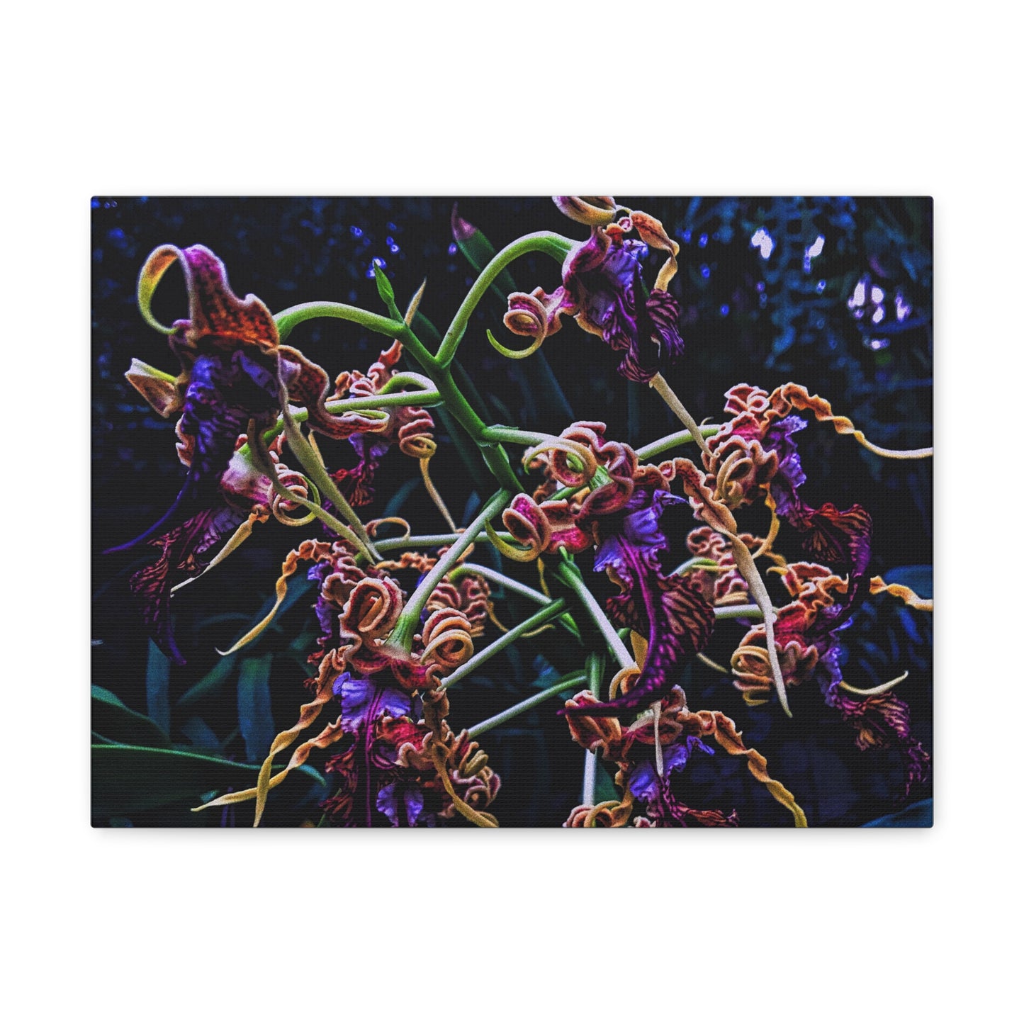 Orchidia - Canvas
