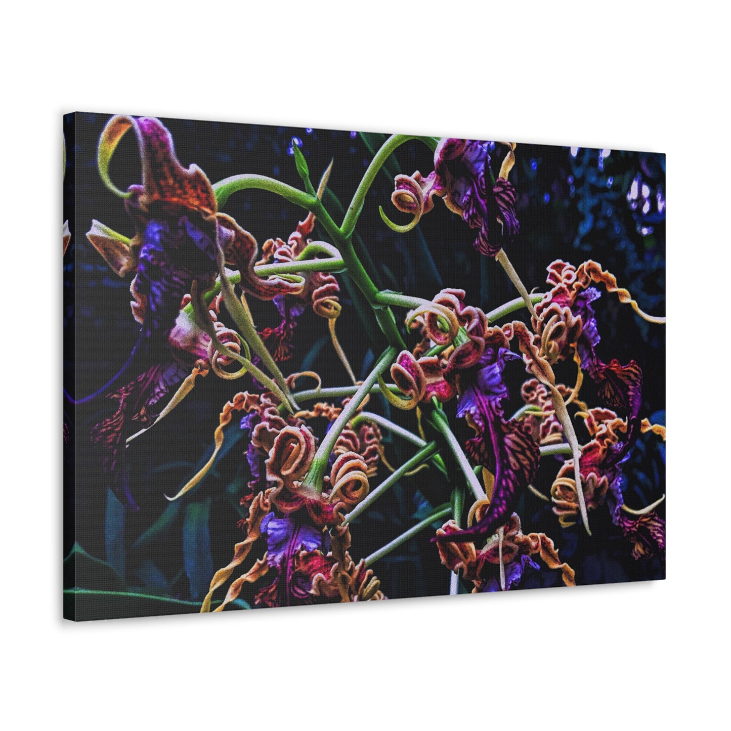Orchidia - Canvas