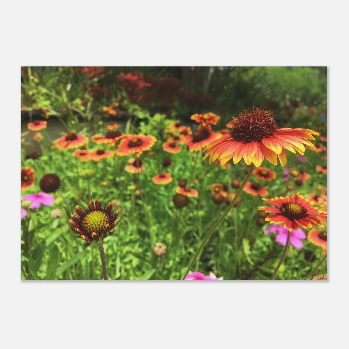 814ef611-a7cc-4149-b8e3-42f66465bff2