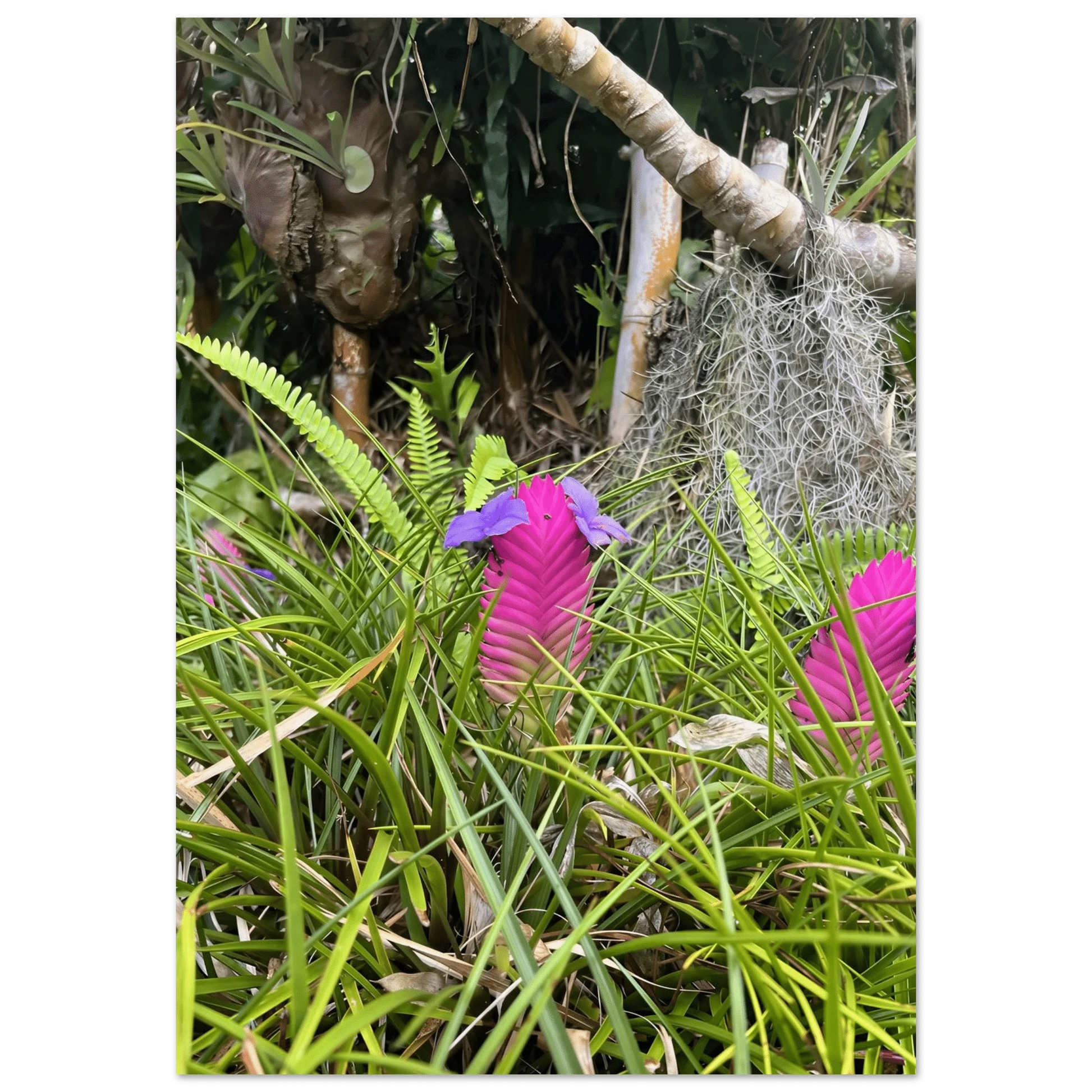 f4138177-a397-4513-ba44-fd1529e159c2