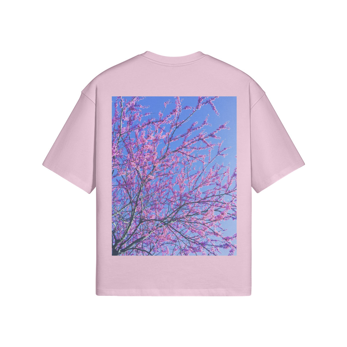 Premium Cotton Boxy T-Shirt: Sakura Trees